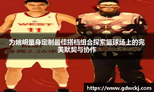 为姚明量身定制最佳搭档组合探索篮球场上的完美默契与协作