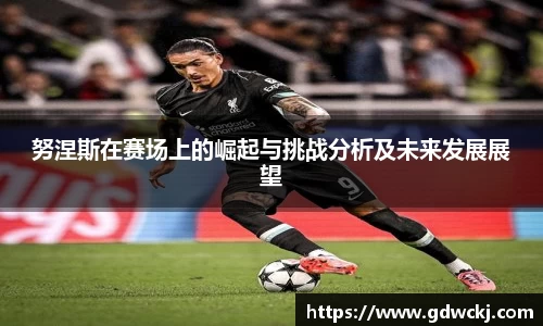 努涅斯在赛场上的崛起与挑战分析及未来发展展望
