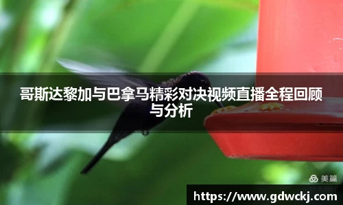 ballbet贝博艾佛森官方网站